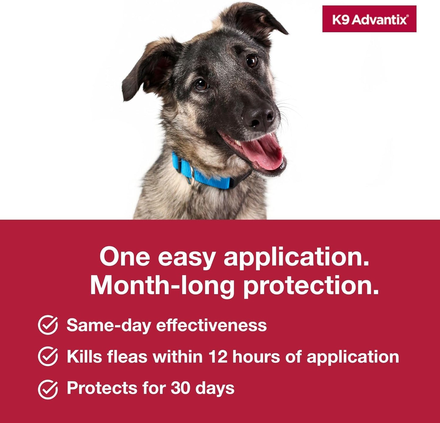 Flea, Tick & Mosquito Prevention for Dogs 21–55 lbs — 2-Month Topical Treatment