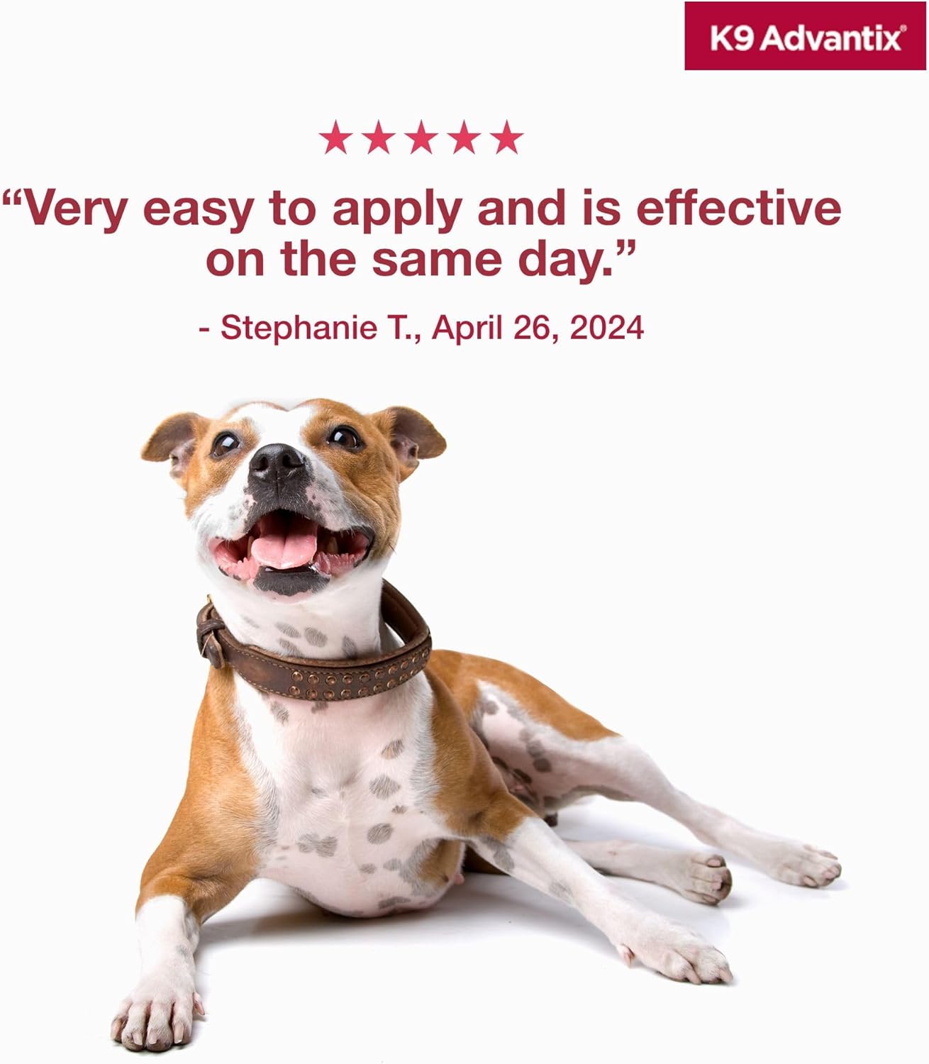 Flea, Tick & Mosquito Prevention for Dogs 21–55 lbs — 2-Month Topical Treatment