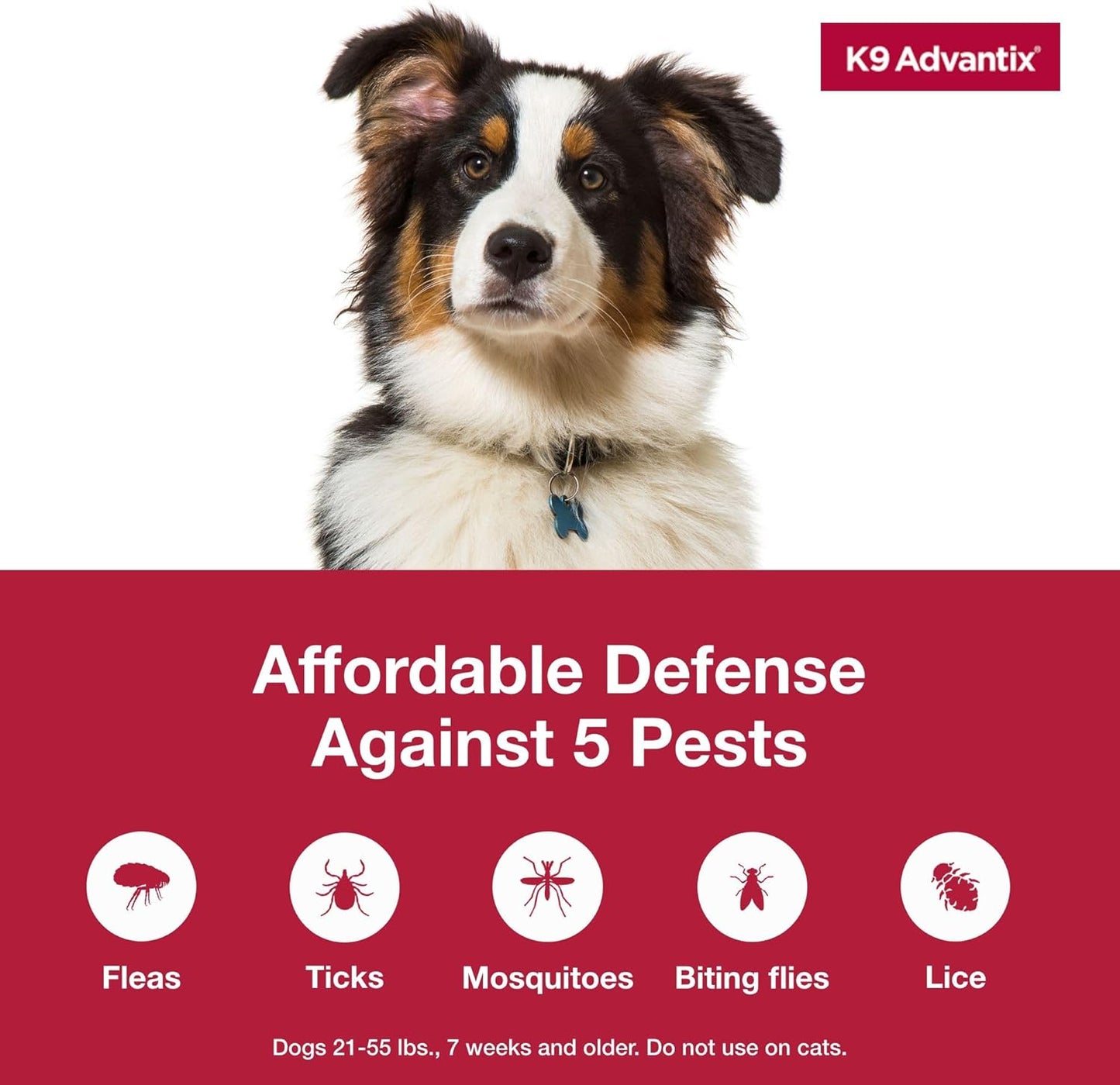 Flea, Tick & Mosquito Prevention for Dogs 21–55 lbs — 2-Month Topical Treatment
