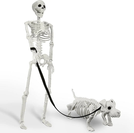 Light-Up Skeleton Halloween Decor
