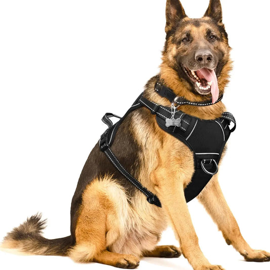 No-Pull Dog Harness + Collar Combo – Reflective, Adjustable, Dual Clip Vest (S–XL)