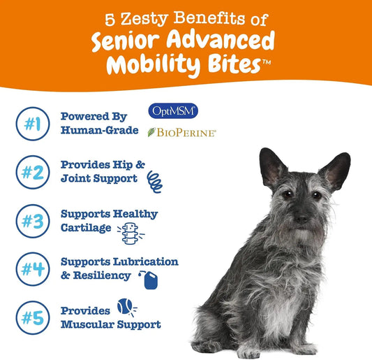 Mobility Bites Joint Supplement for Dogs – Soft Chews with Glucosamine, Chondroitin & MSM, 90 Count