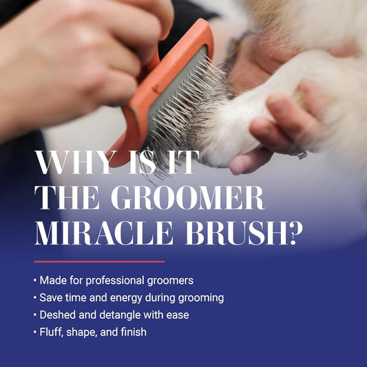 Big G Dog Slicker Brush – Professional Grooming for Goldendoodles, Labradoodles, Poodles, Large Coral
