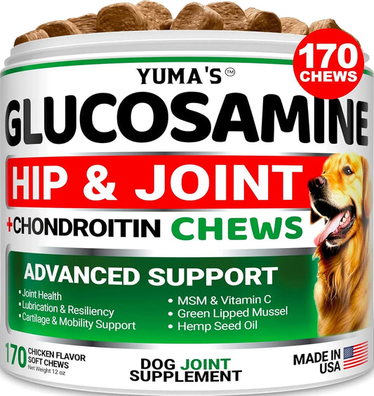 Glucosamine Chondroitin MSM + Omega‑3 Dog Chews – 170 ct for Joint & Skin Health