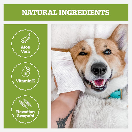 Pogi’s Hypoallergenic Dog Grooming Wipes – Fragrance-Free, 100 Ct, Paws, Body & Butt Cleaning
